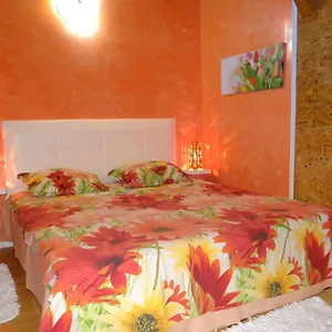 Daire Orange Flower